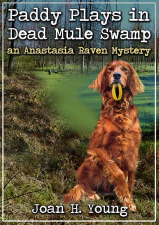 Paddy Plays in Dead Mule Swamp