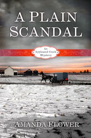 A Plain Scandal book cover