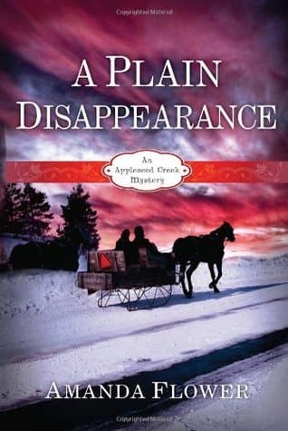 A Plain Disappearance book cover