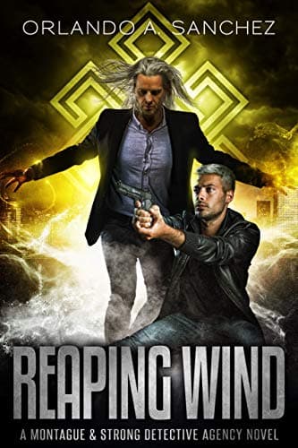 Reaping Wind book cover
