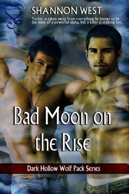 Bad Moon on the Rise book cover