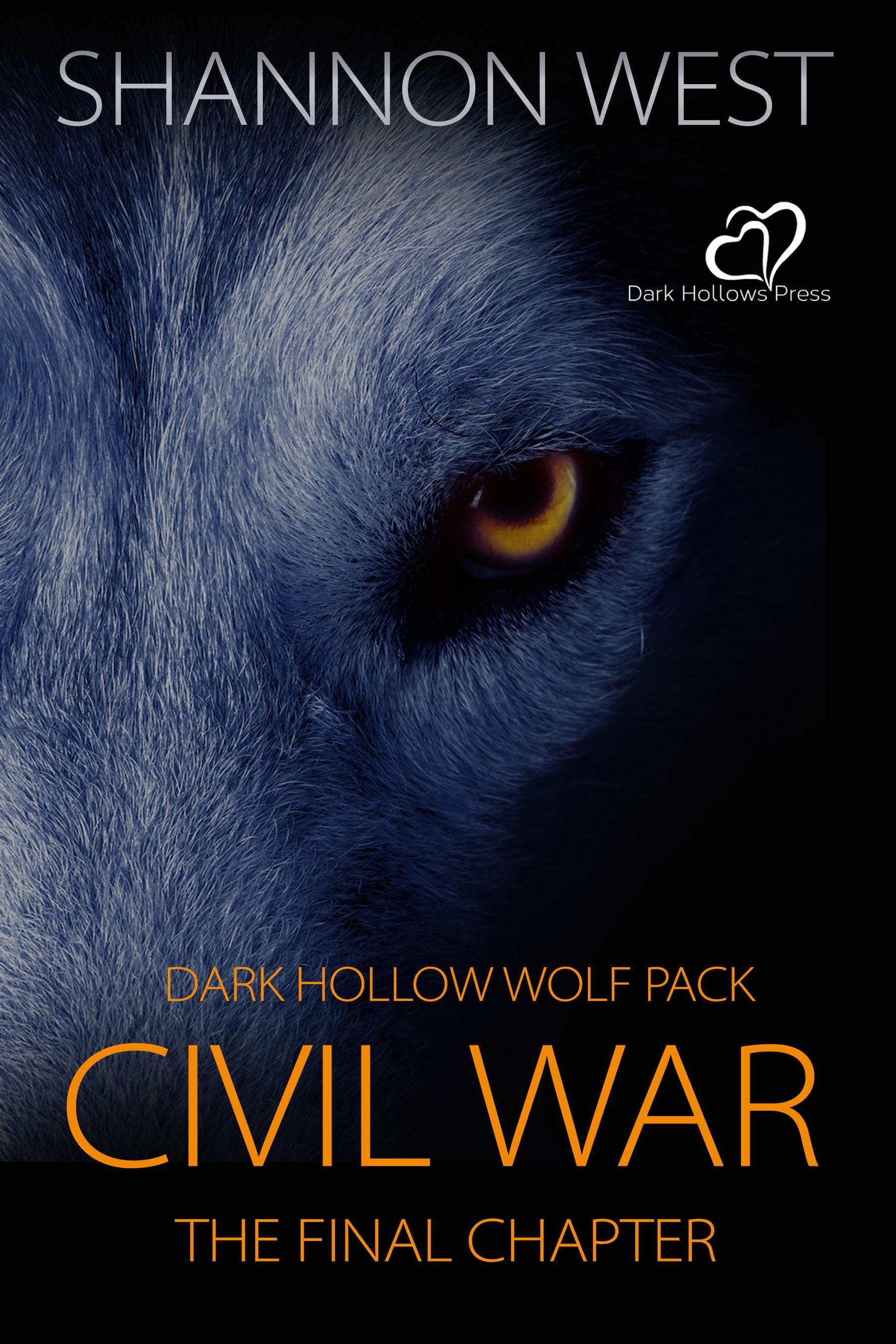 Civil War book cover