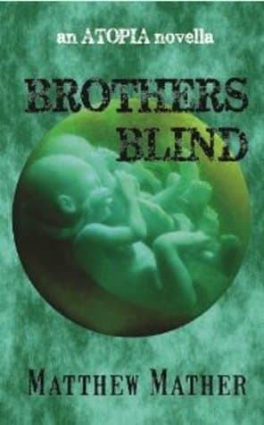 Brothers Blind book cover