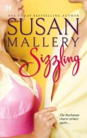 Sizzling book cover