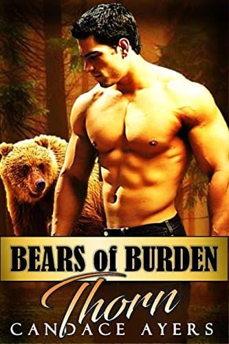 Thorn book cover