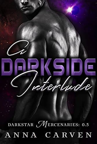 A Darkside Interlude book cover