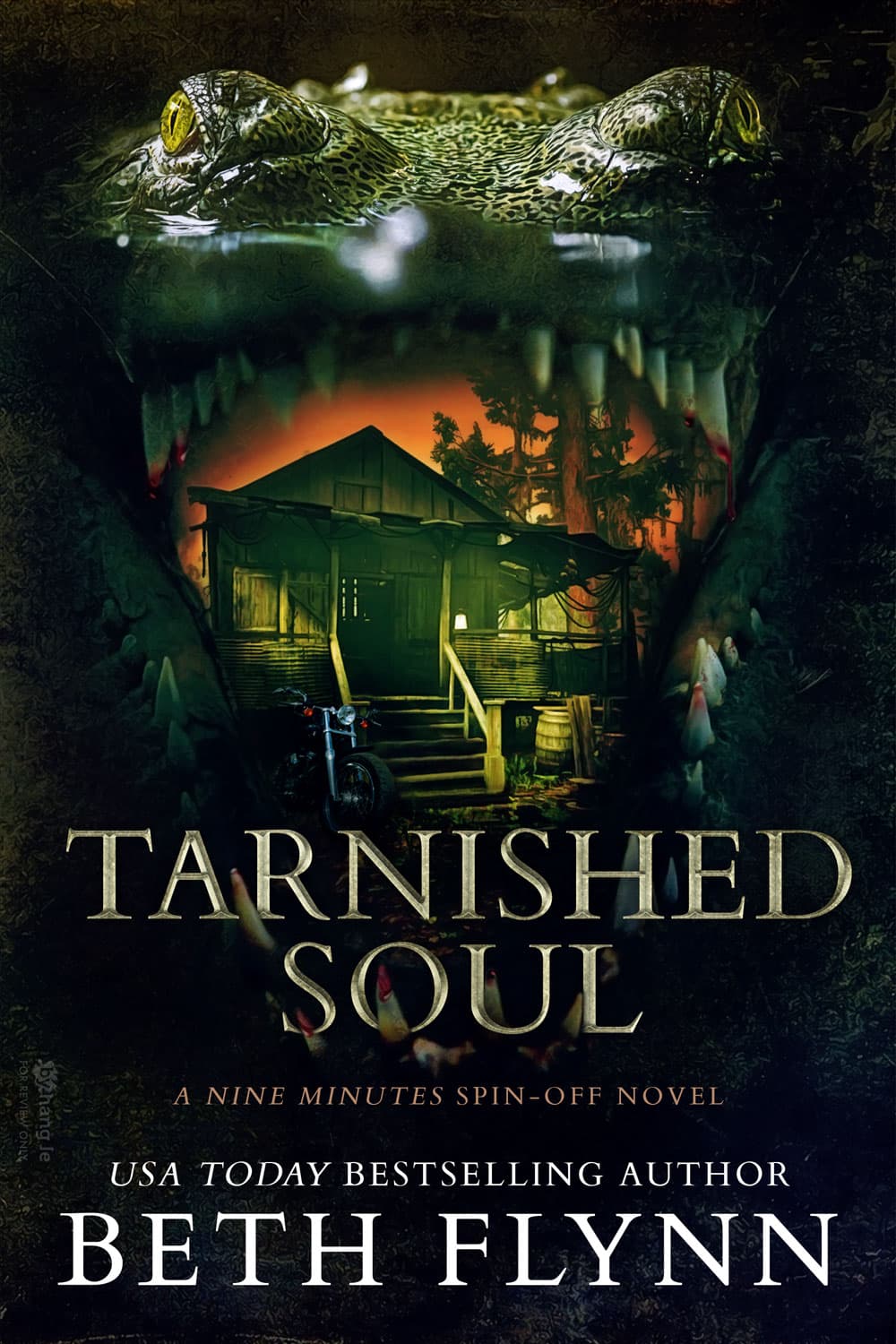 Tarnished Soul book cover