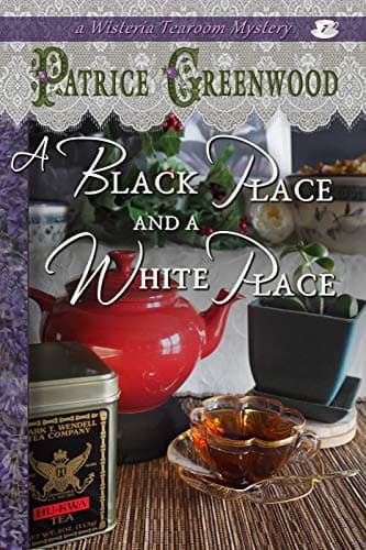 A Black Place and a White Place book cover