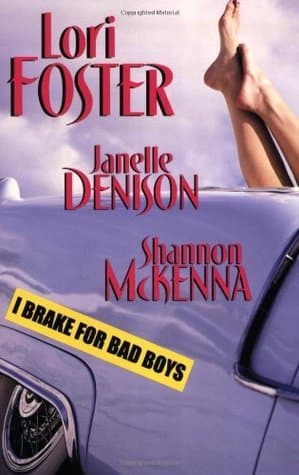 I Brake For Bad Boys book cover