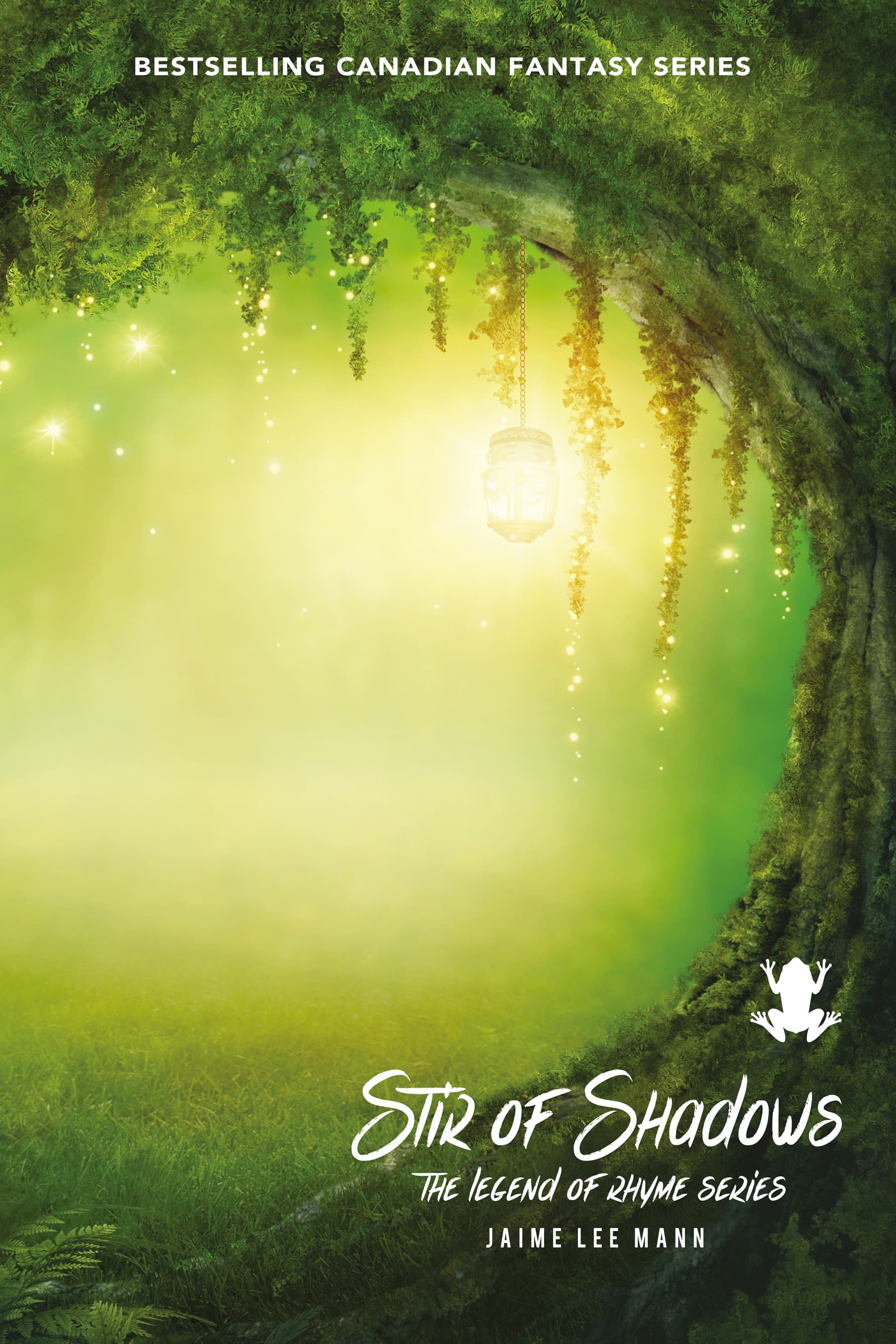 Stir of Shadows book cover