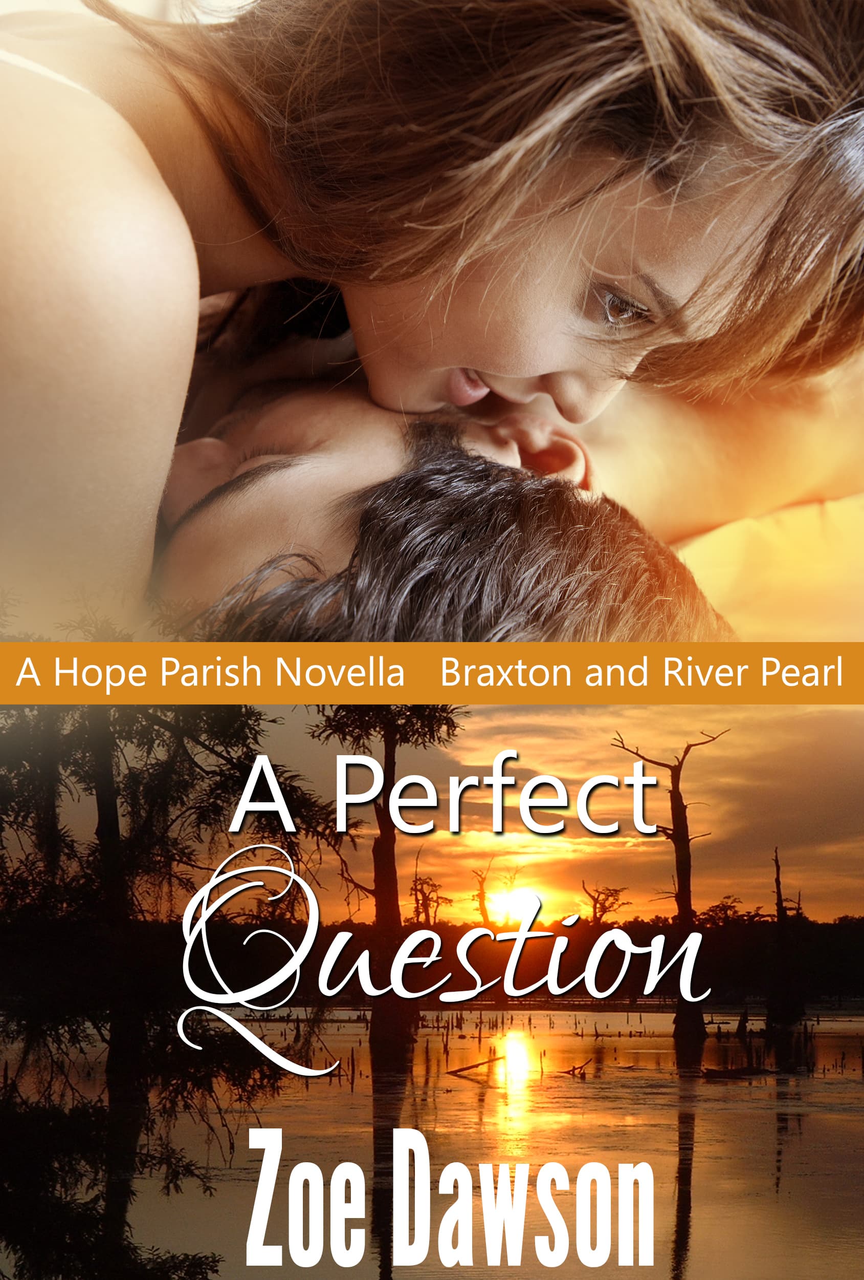 A Perfect Question book cover