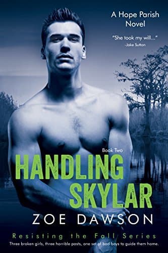 Handling Skylar book cover