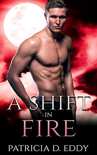 A Shift in Fire book cover