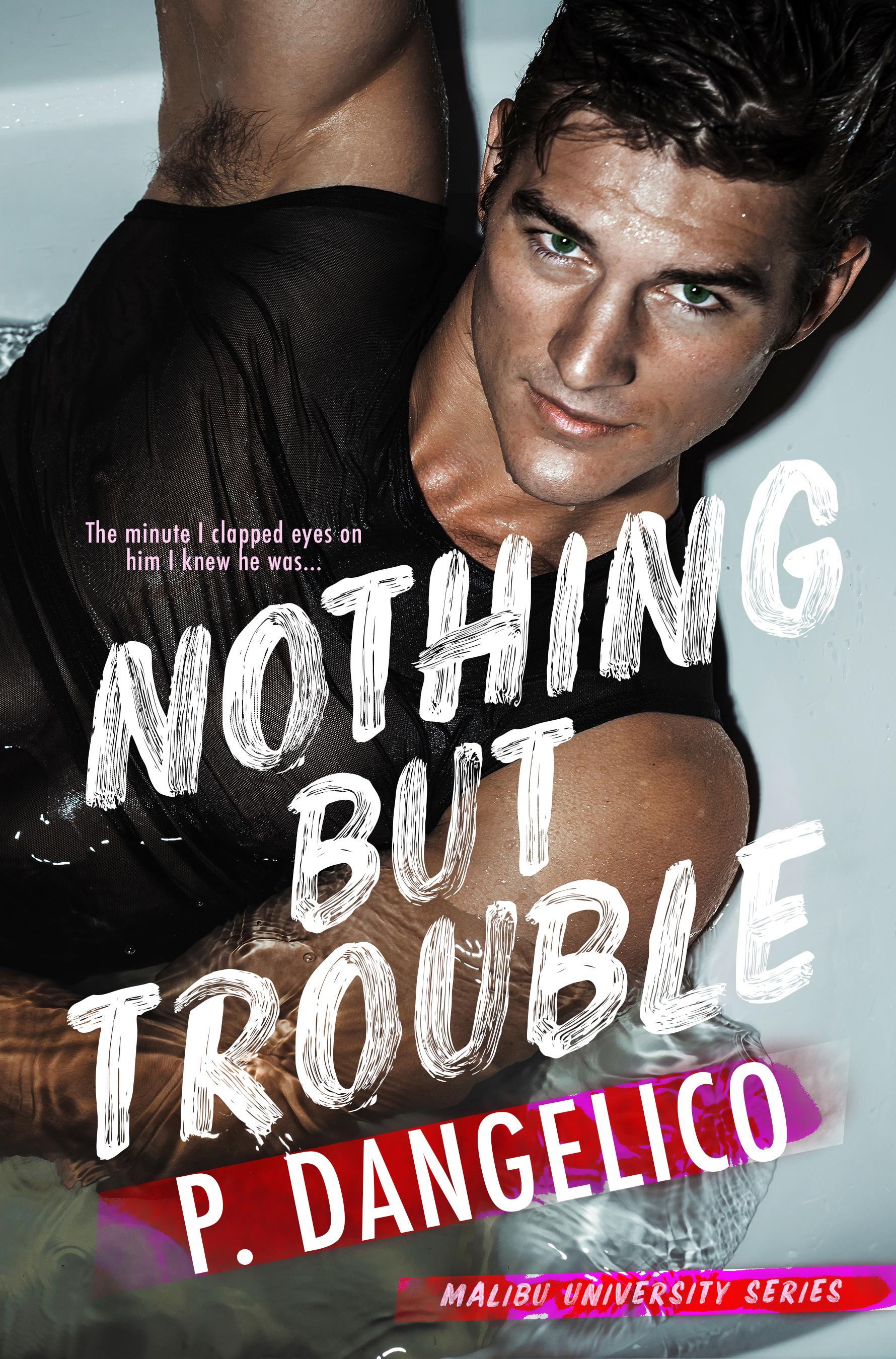 Nothing But Trouble book cover