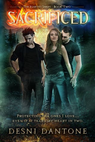 Series Book Cover Preview