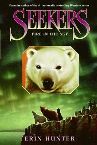 Fire in the Sky book cover