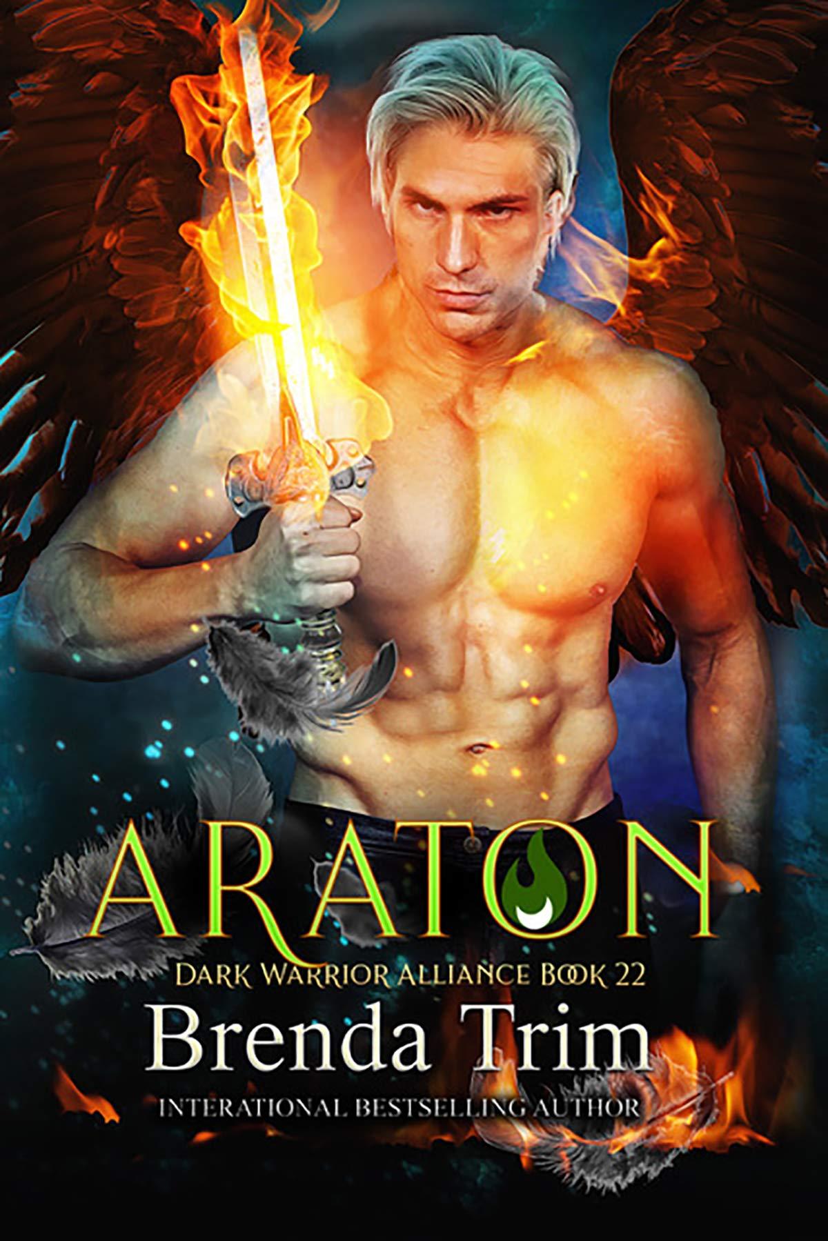 Araton book cover