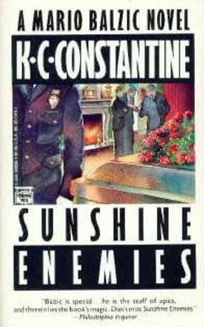 Sunshine Enemies book cover