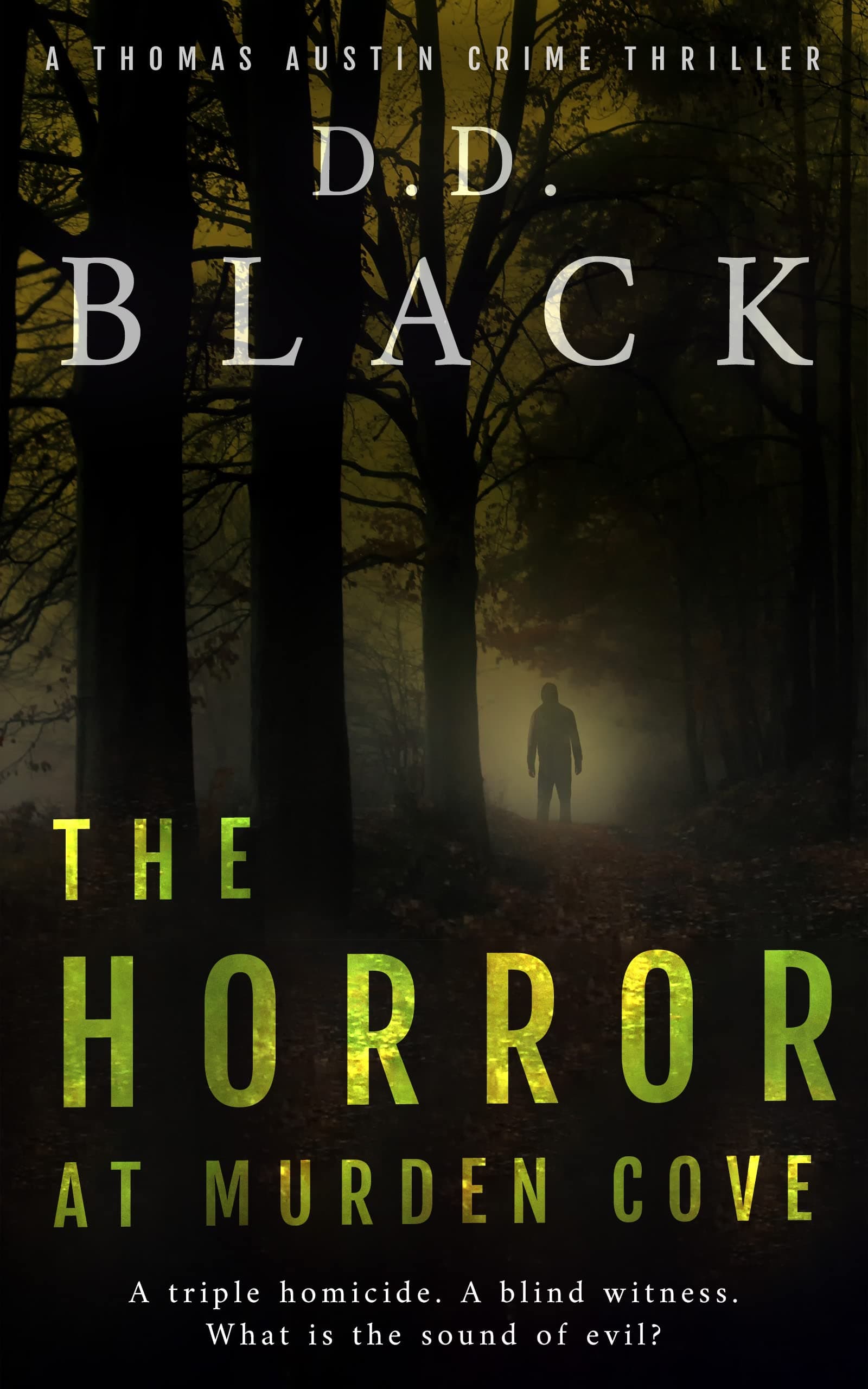 The Horror at Murden Cove book cover