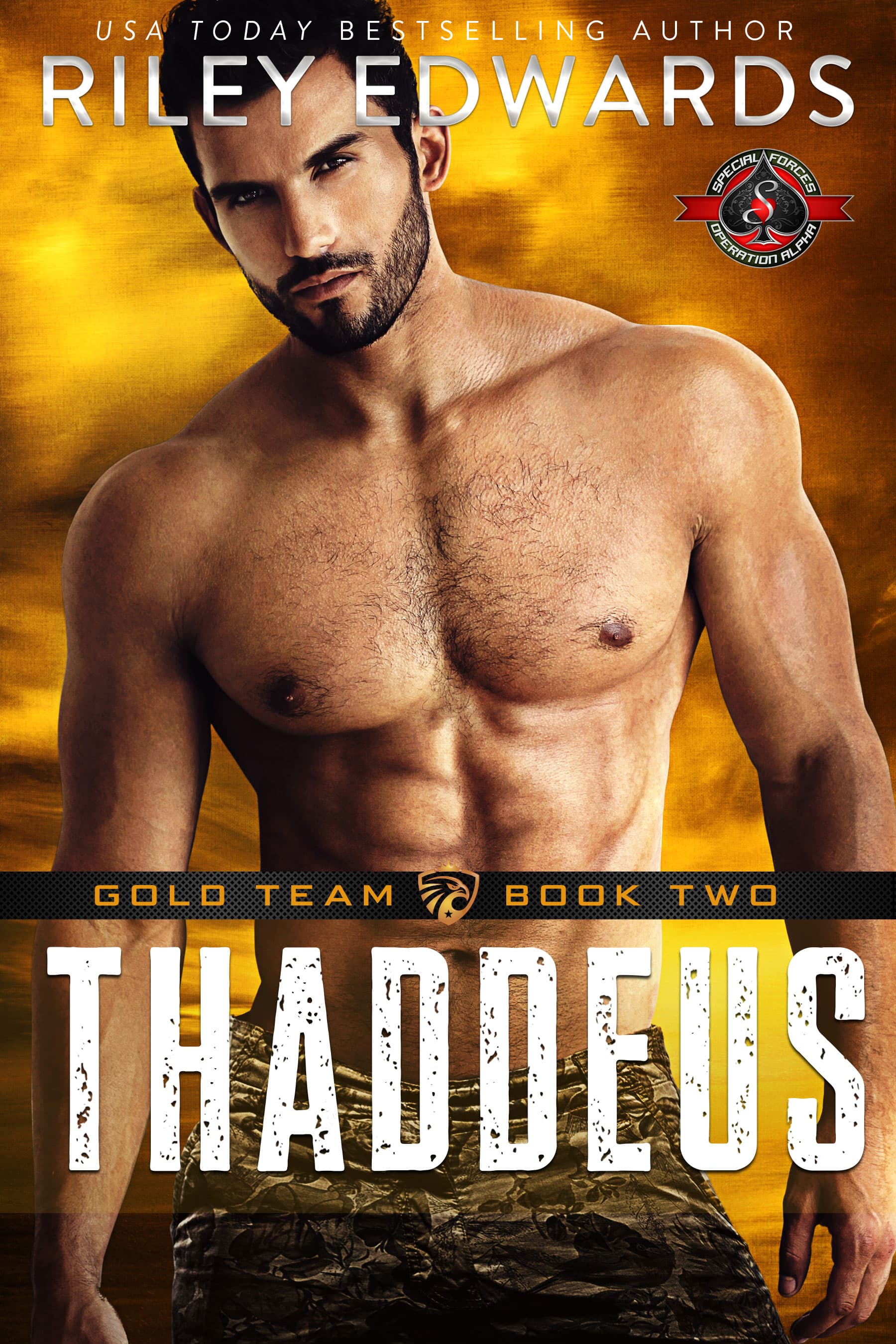 Thaddeus book cover