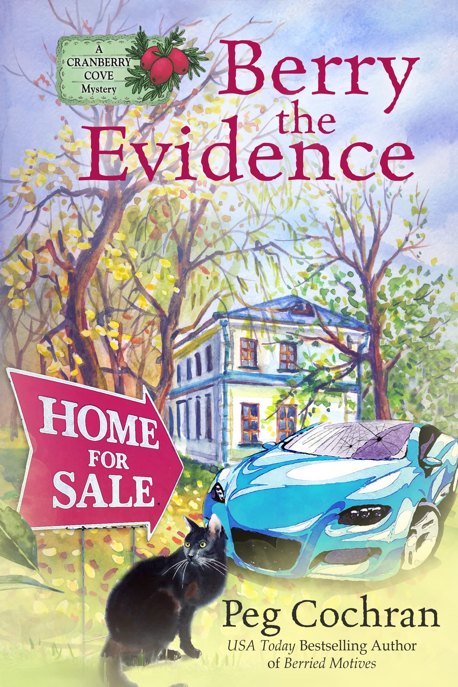 Berry the Evidence book cover