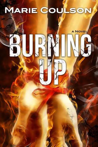 Burning Up book cover