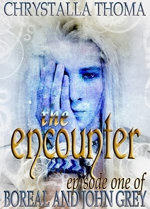 The Encounter