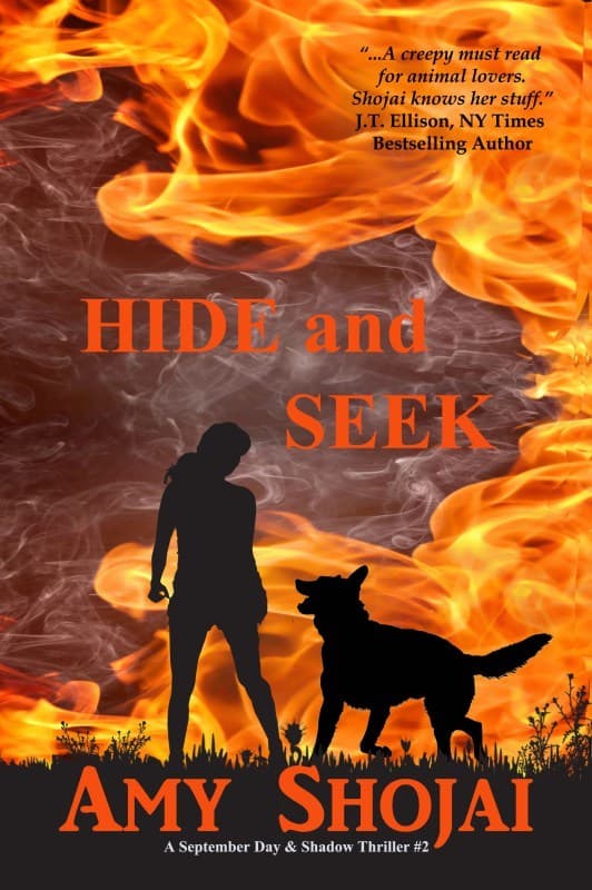 Hide And Seek