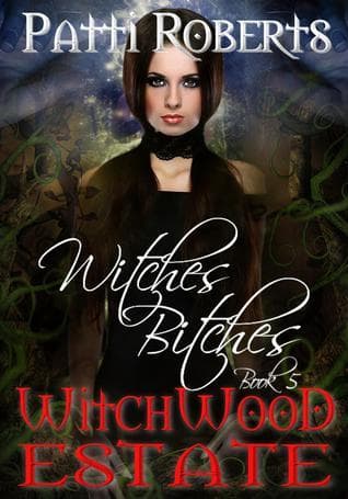 Witches Bitches book cover