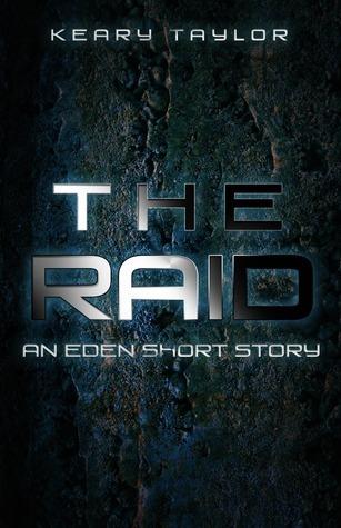 The Raid book cover