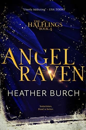 Angel Raven book cover