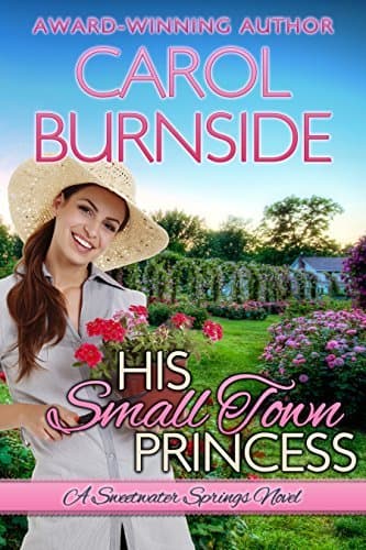 His Small Town Princess book cover