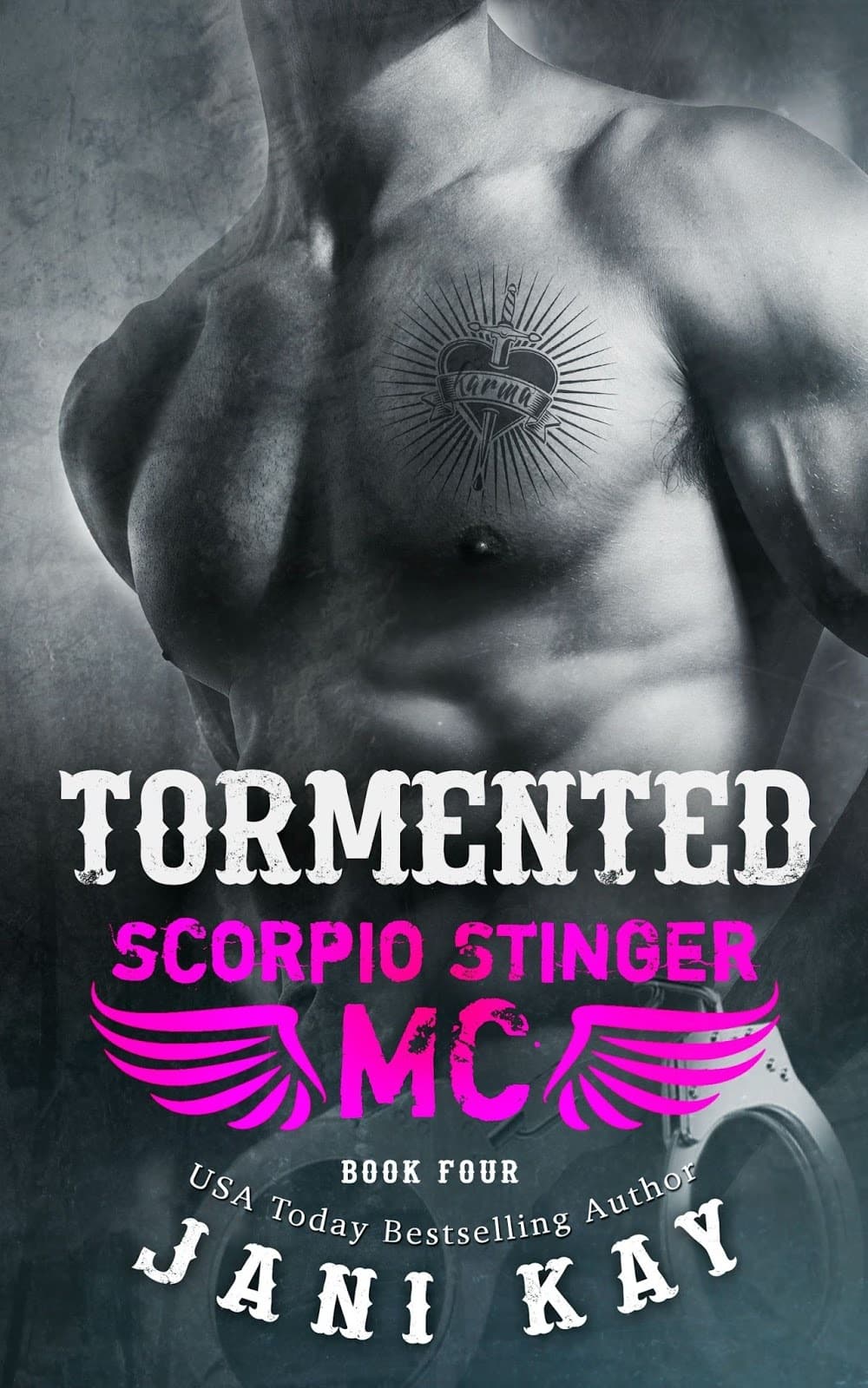 Tormented book cover