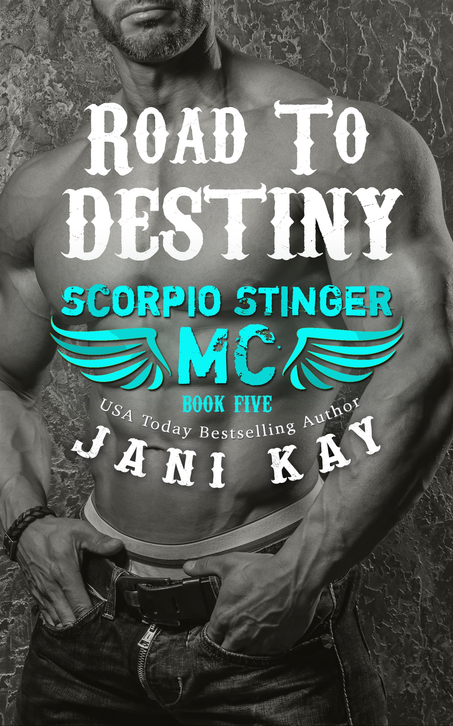 Road To Destiny book cover