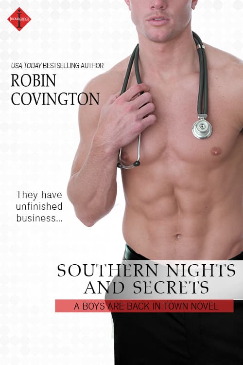Southern Nights and Secrets book cover