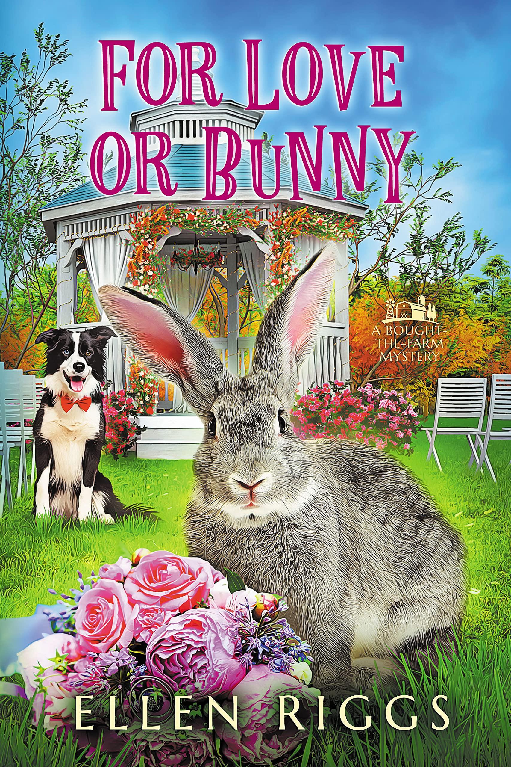 For Love or Bunny book cover