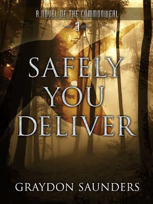 Series Book Cover Preview