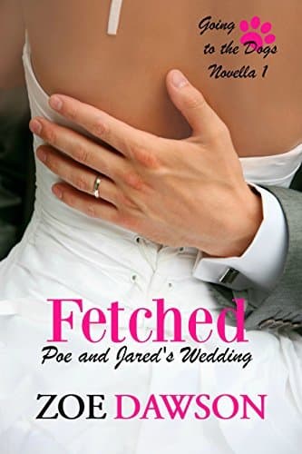 Fetched book cover