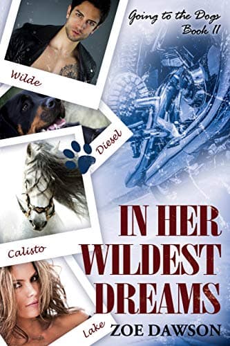 In Her Wildest Dreams book cover