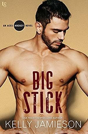 Big Stick book cover