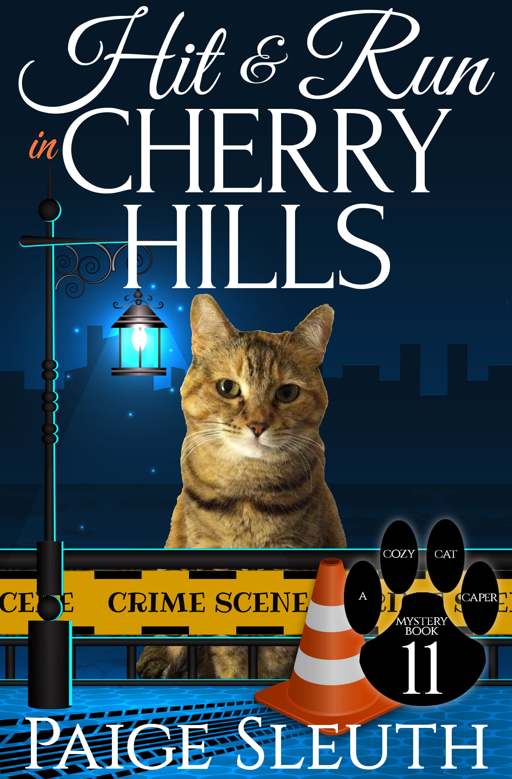 Hit and Run in Cherry Hills book cover