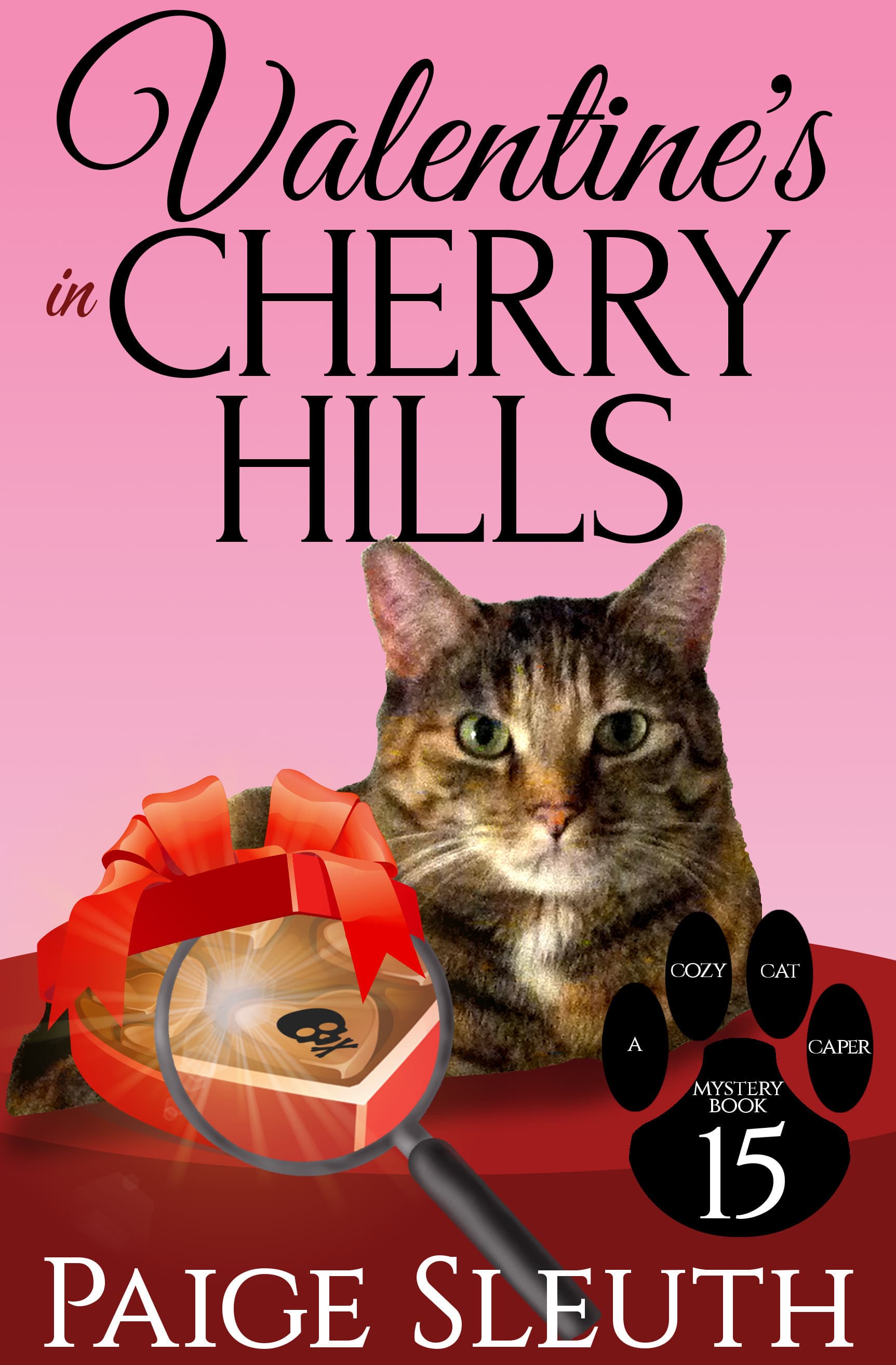 Valentine's in Cherry Hills book cover