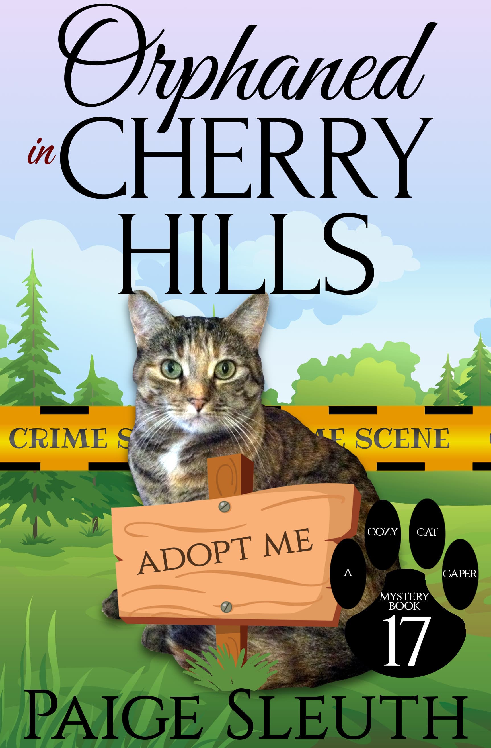 Orphaned in Cherry Hills book cover