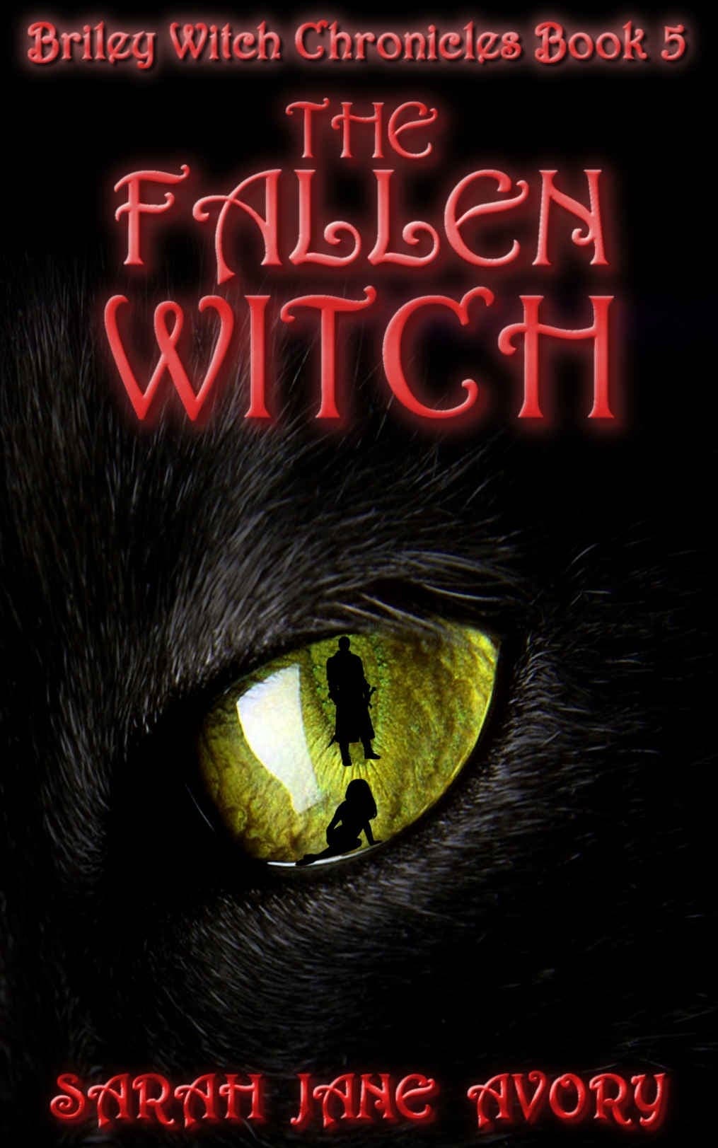 The Fallen Witch book cover