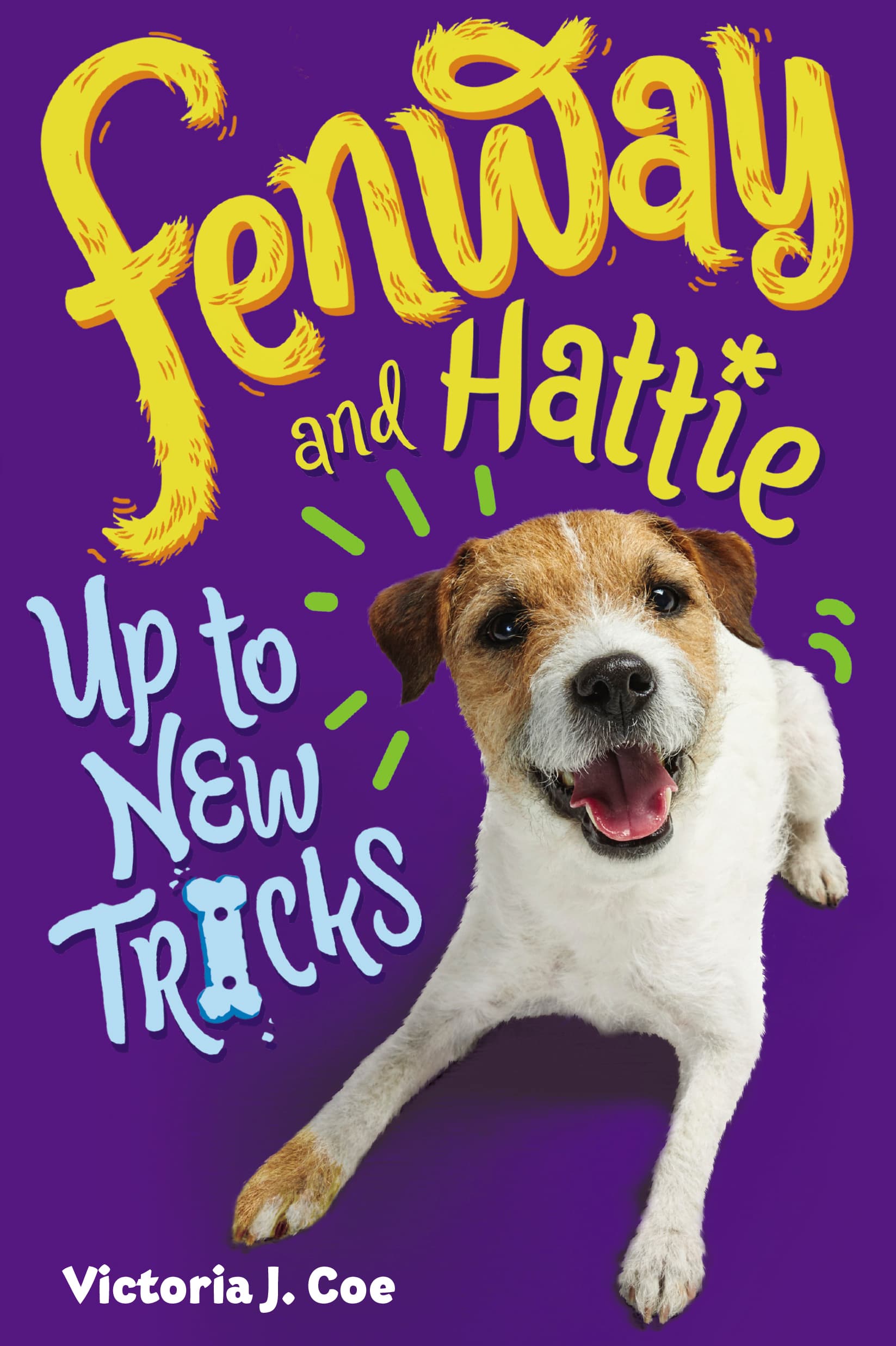 Series Book Cover Preview