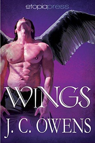 Wings book cover