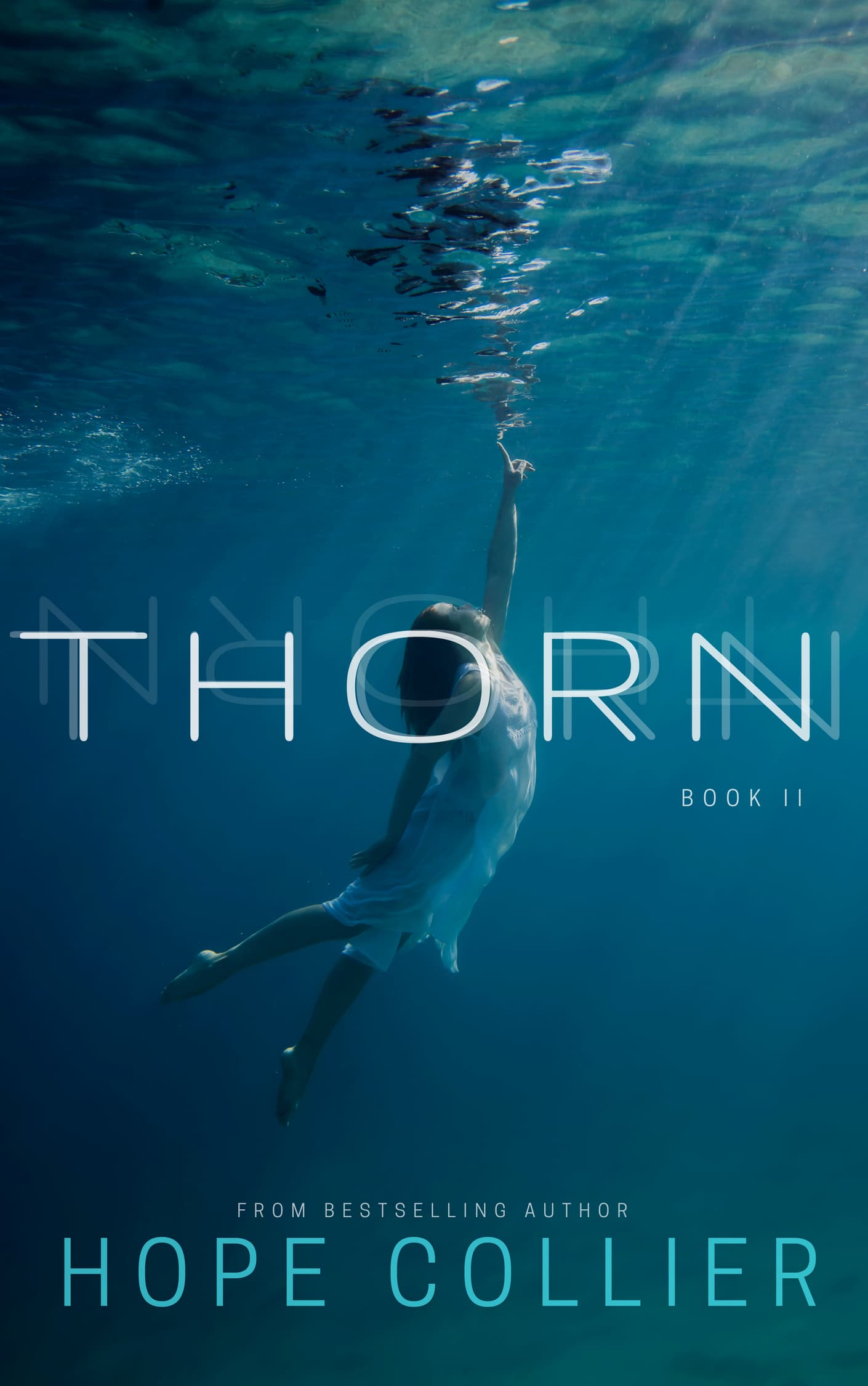 Thorn book cover