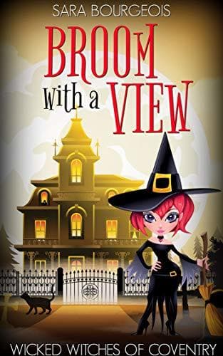 Broom with a View book cover