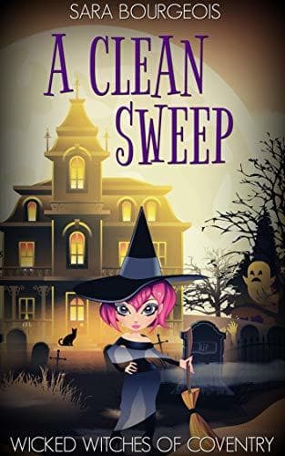 A Clean Sweep book cover