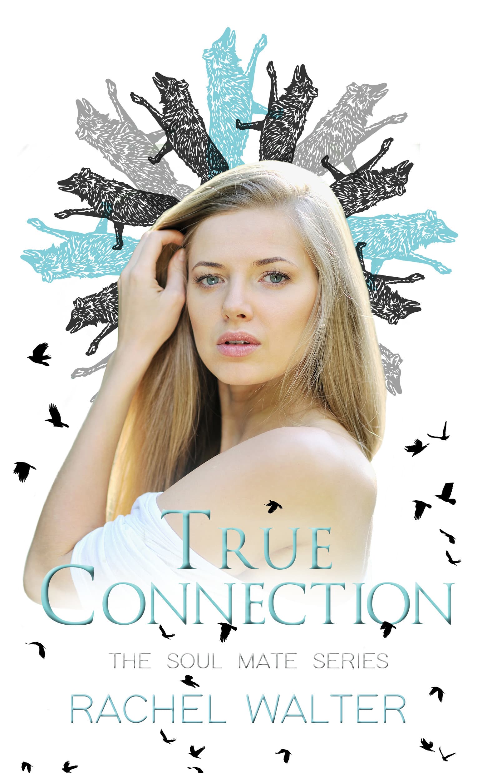 Series Book Cover Preview